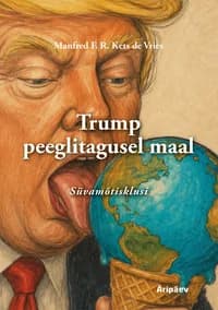Trump peeglitagusel maal