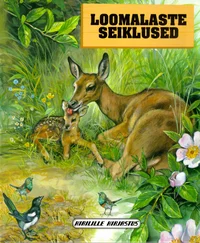 Loomalaste seiklused