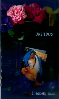 Üksildus