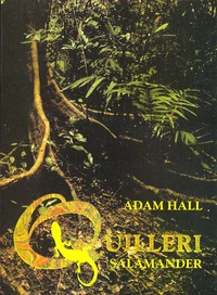 Quilleri Salamander