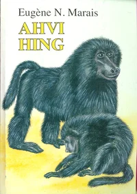 Ahvi hing