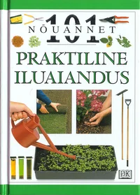 Praktiline iluaiandus