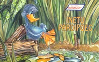 Inetu pardipoeg
