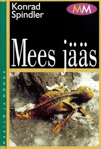 Mees jääs