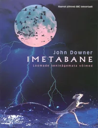 Imetabane