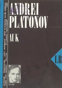 Auk