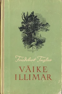 Väike Illimar