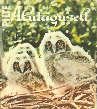 Pilte Alutaguselt