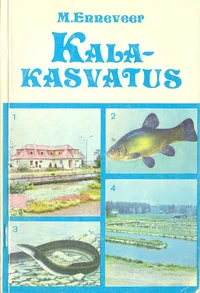 Kalakasvatus