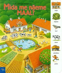 Mida me näeme maal?