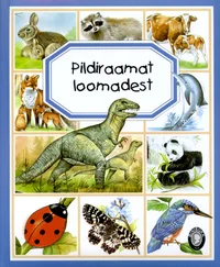 Pildiraamat loomadest