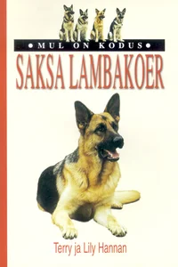 Saksa lambakoer