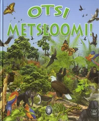 Otsi metsloomi!