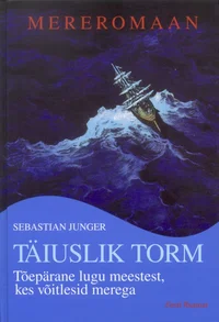 Täiuslik torm