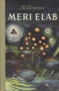Meri elab