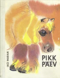 Pikk päev