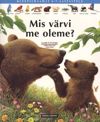 Mis värvi me oleme?