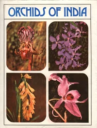 Orchids of India
