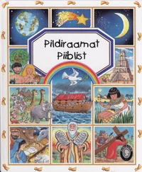 Pildiraamat Piiblist