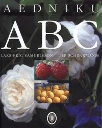 Aedniku ABC