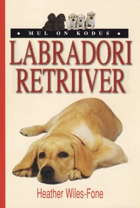 Labradori retriiver