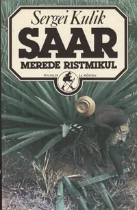 Saar merede ristmikul
