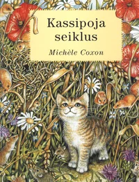 Kassipoja seiklus