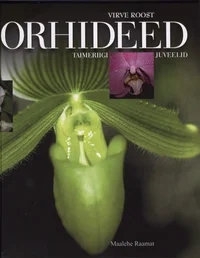 Orhideed