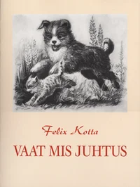 Vaat mis juhtus