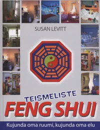 Teismeliste feng shui