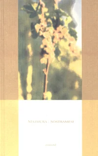 Sõstramesi