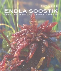 Endla soostik