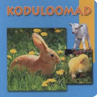 Koduloomad