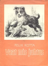 Vaat mis juhtus
