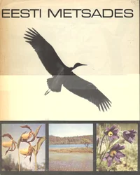 Eesti metsades