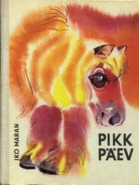 Pikk päev