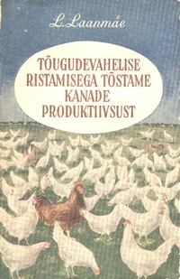 Tõugudevahelise ristamisega tõstame kanade produktiivsust
