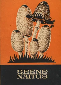 Seenenäitus