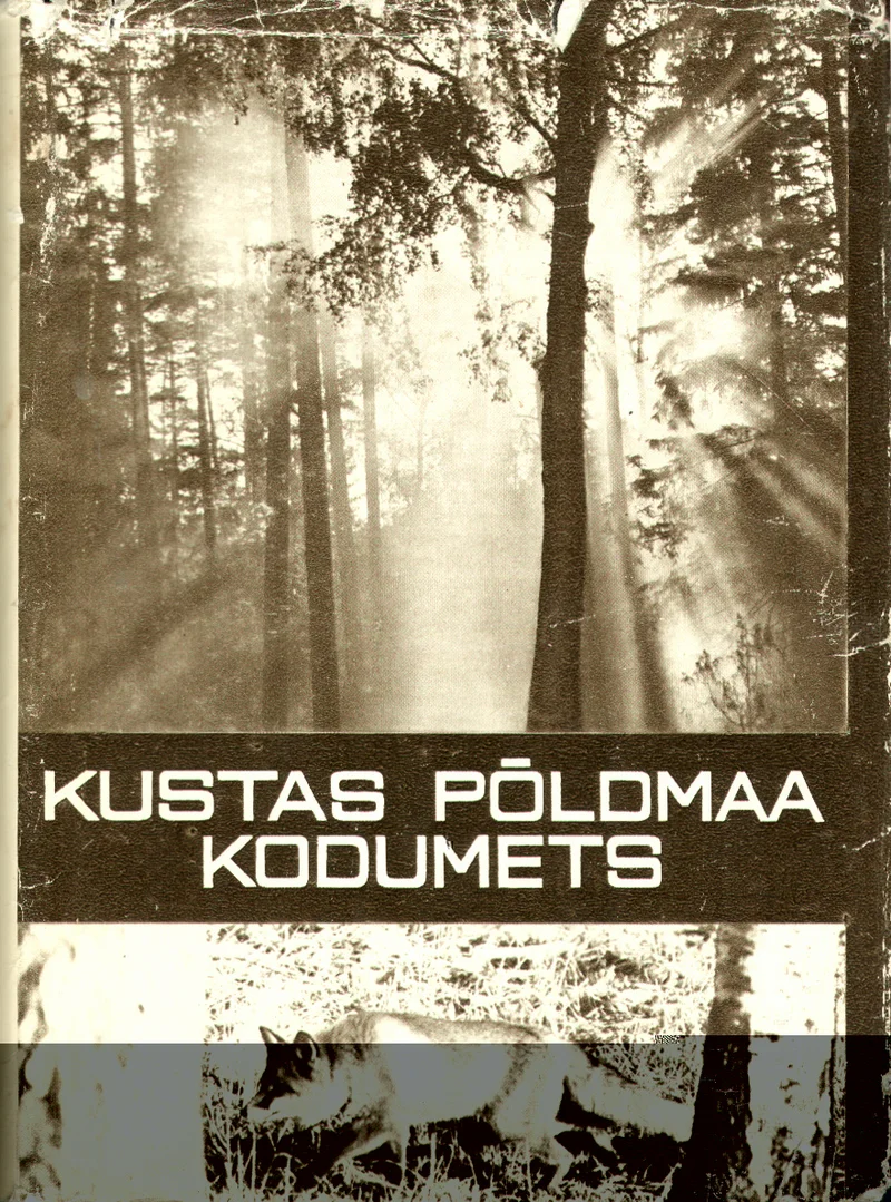Kodumets - Kustas Põldmaa (Valgus, 1975). Sepiatoonides metsafoto, kus päikesekiired langevad läbi kõrgete puutüvede ja loovad müstilise valgusemängu. Rahulik ja poeetiline meeleolu, mis rõhutab looduse ilu.