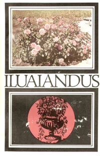 Iluaiandus