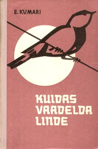 Kuidas vaadelda linde