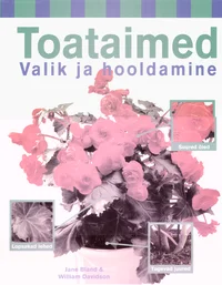 Toataimed
