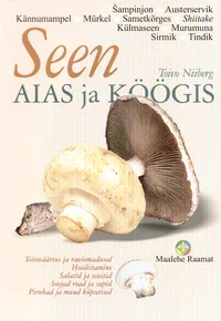 Seen aias ja köögis