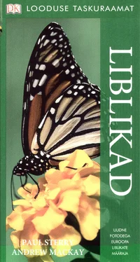 Liblikad