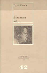 Piimmetsa vilus