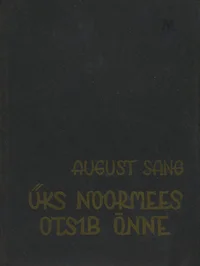 Üks noormees otsib õnne