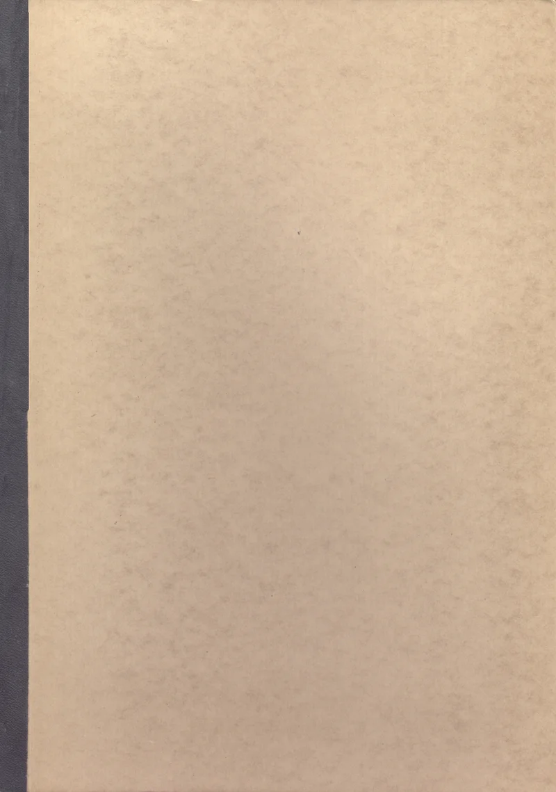 Suur võitlus - Ellen Gould White (Seitsmenda päeva adventistide Eesti liit, 0). Minimalistlik, tekstita kaanekujundus beežikaspruuni tekstuurse paberi taustaga ja tumehalli servaga vasakul küljel.