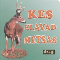 Kes elavad metsas