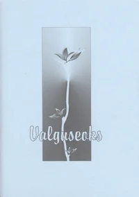 Valguseoks