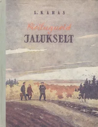 Pisilugusid Jalukselt